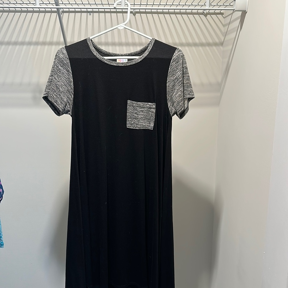 Lularoe pocket dress. Pet friendly hime.  Size xs
